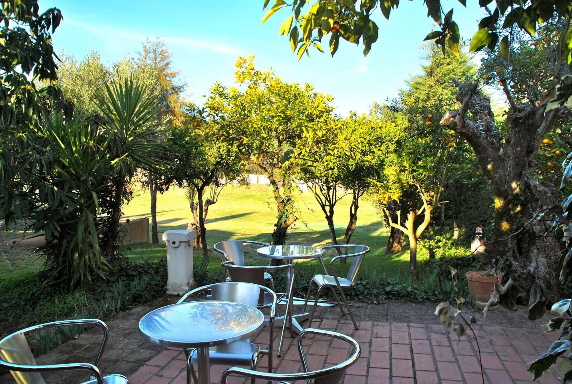 Quinta De Santa Barbara By Heavens Sleepy Hotel Constancia Exterior photo